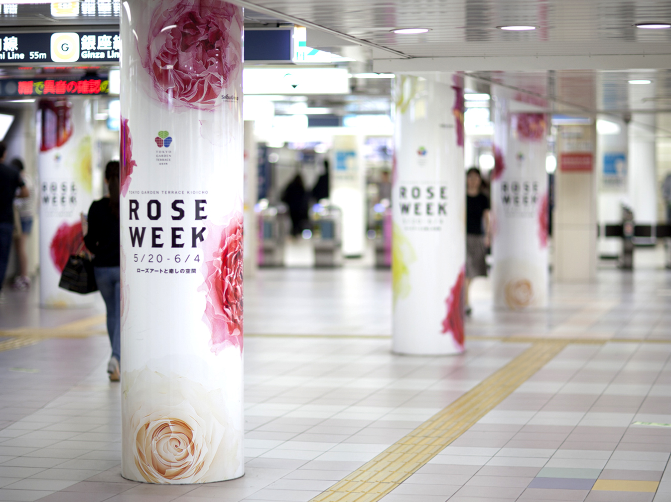 Roseweek2017